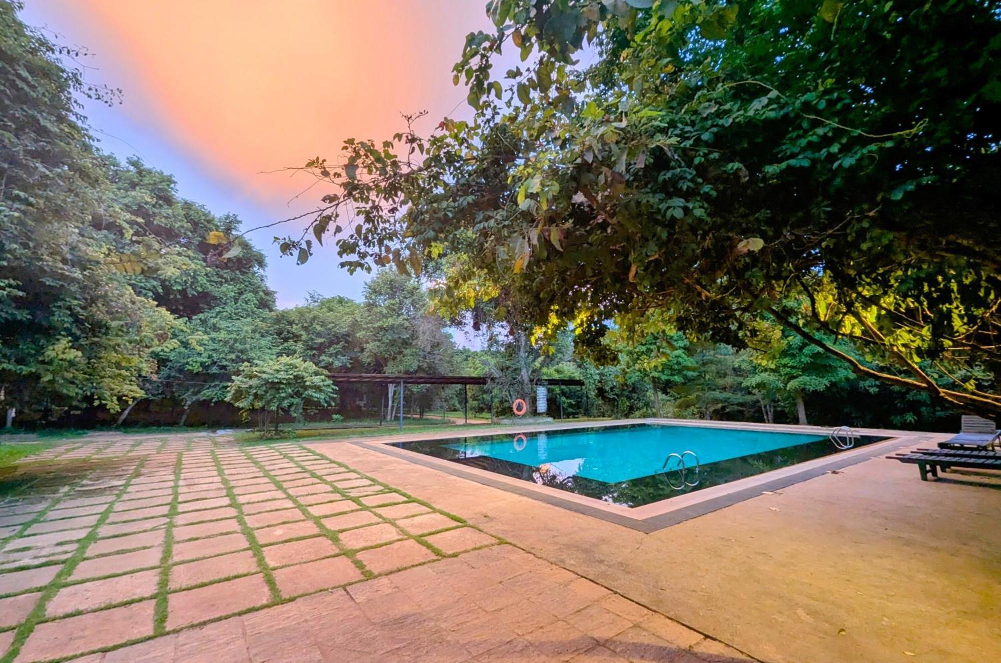 Pinthaliya Resort Sigiriya Eksteriør billede