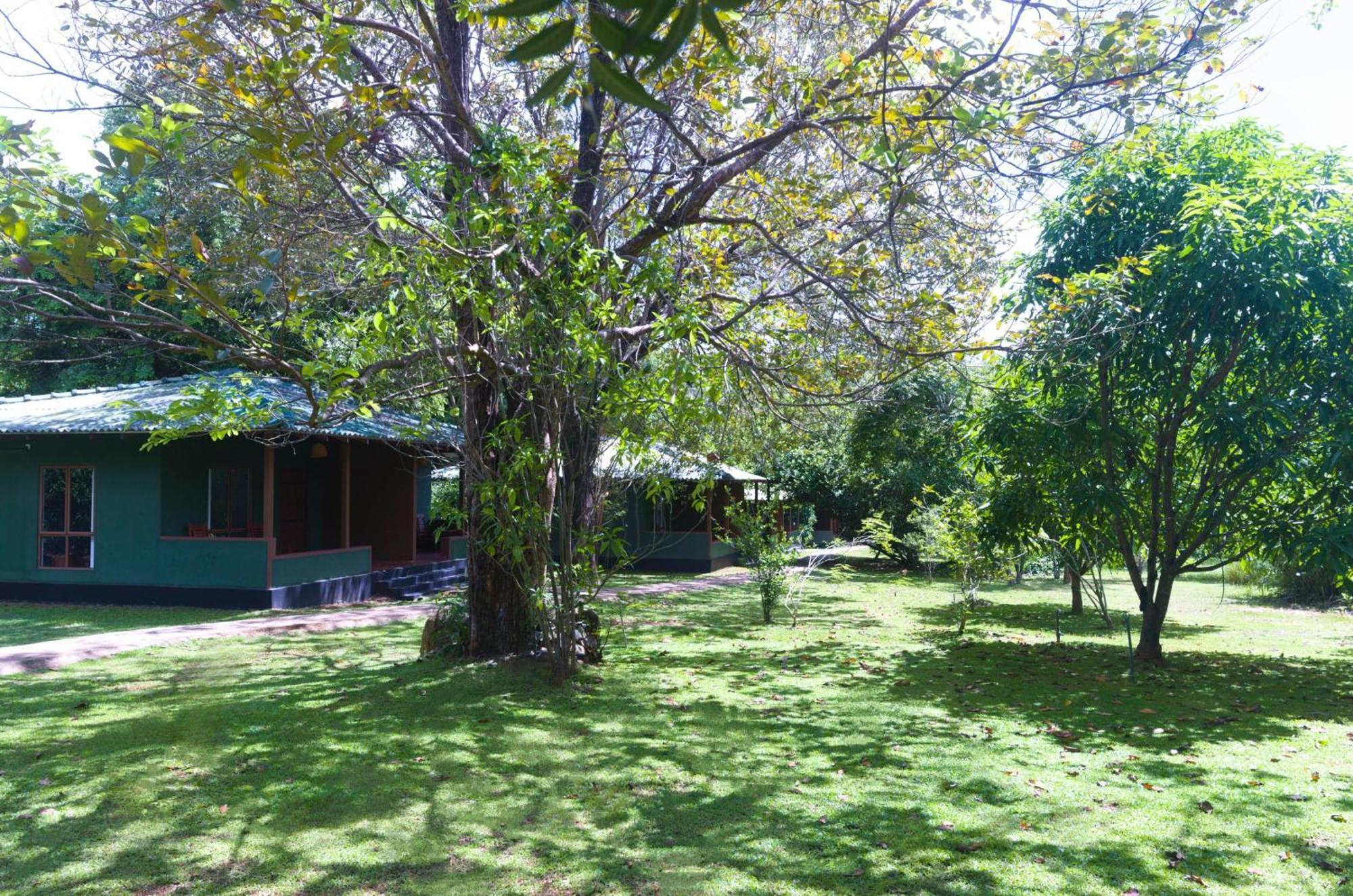 Pinthaliya Resort Sigiriya Eksteriør billede