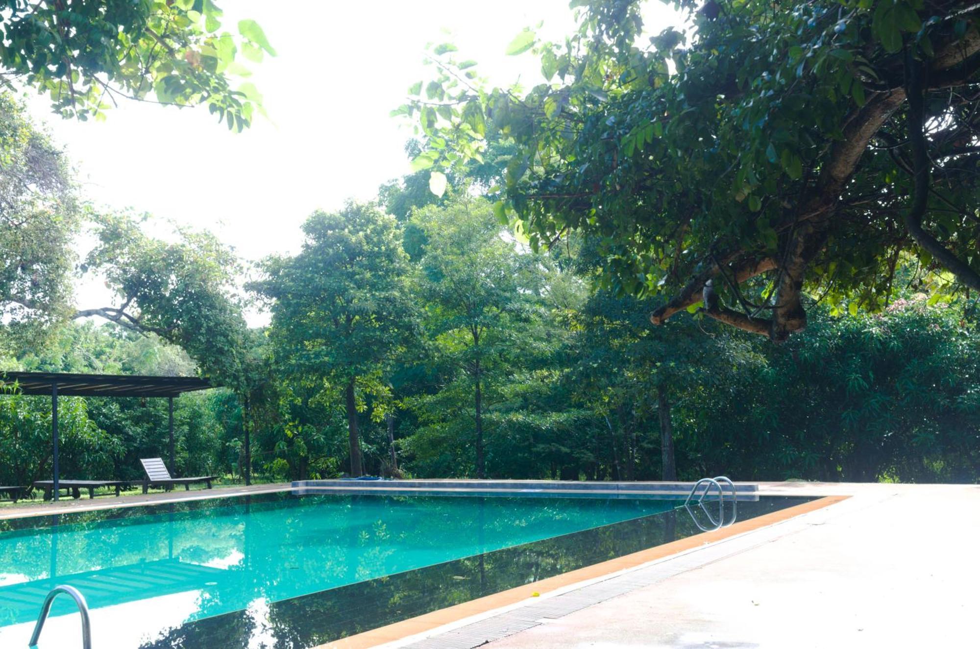 Pinthaliya Resort Sigiriya Eksteriør billede