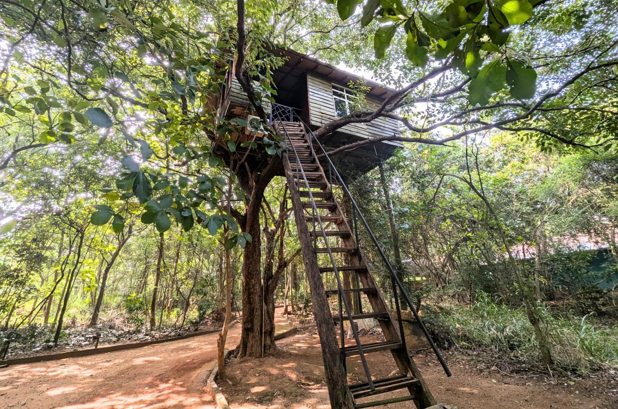 Pinthaliya Resort Sigiriya Eksteriør billede