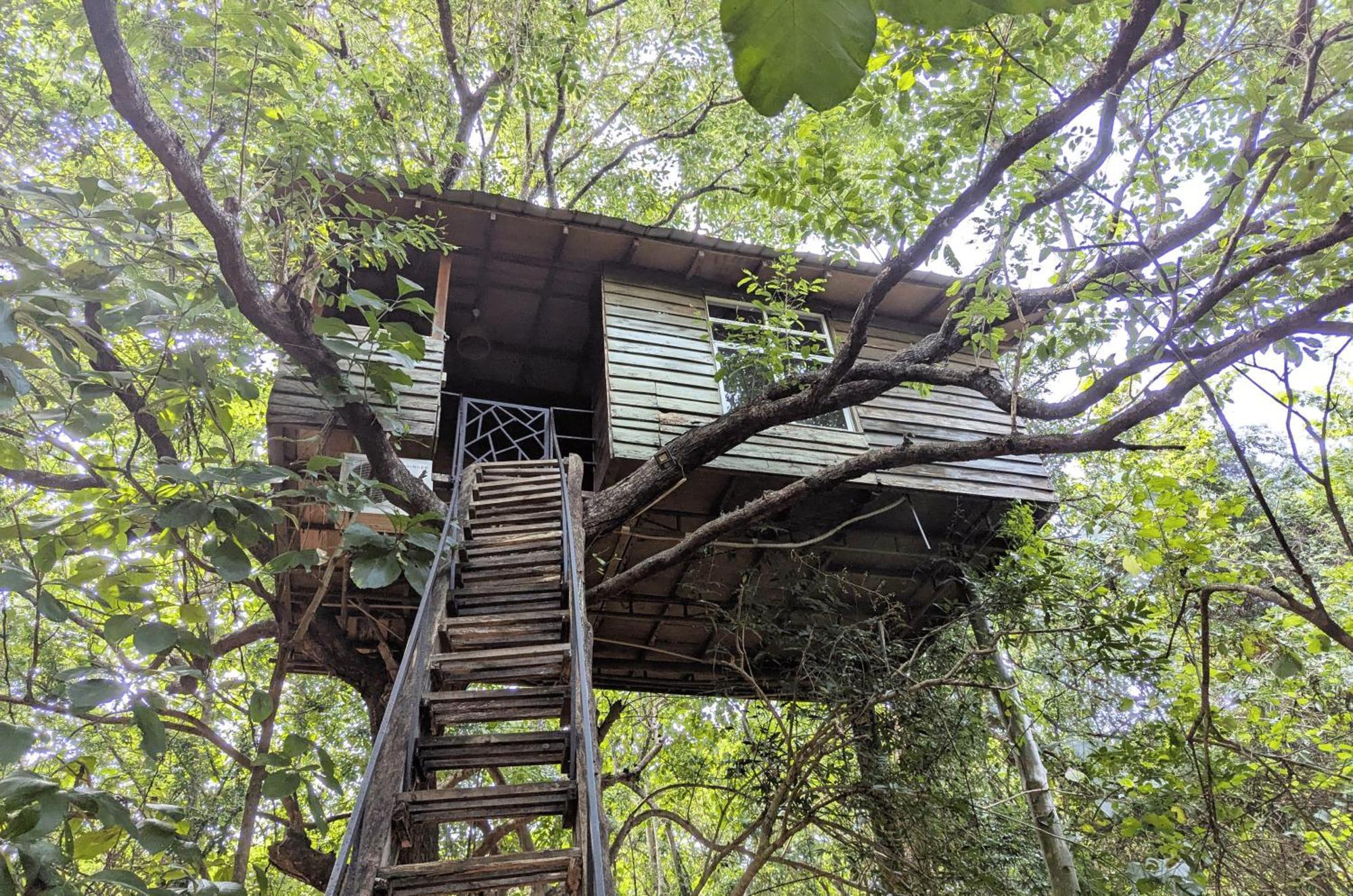Pinthaliya Resort Sigiriya Eksteriør billede